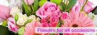 Ola Flowers 1068361 Image 2